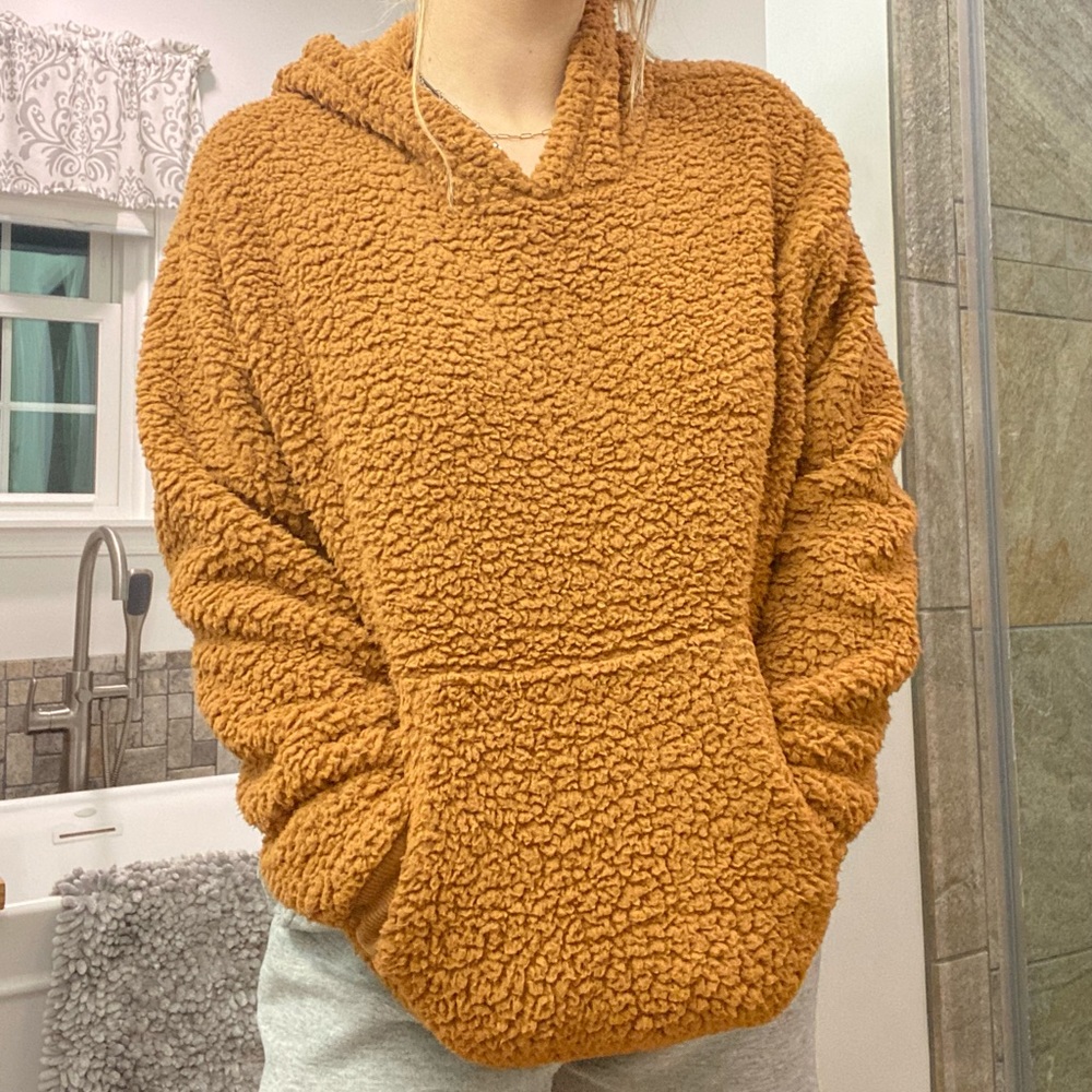 American Eagle Teddy Hoodie